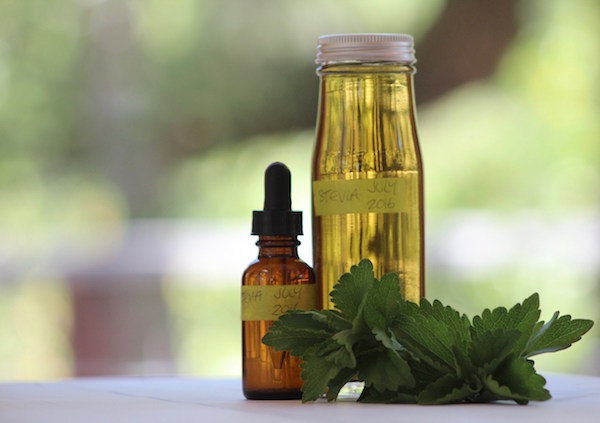 how-to-make-stevia-extract